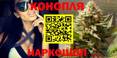 a pvp Краснодар