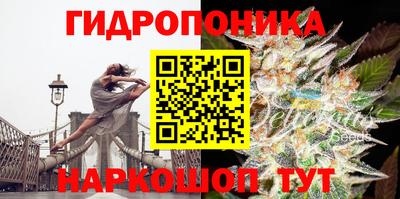 ПСИЛОЦИБИНОВЫЕ ГРИБЫ Краснознаменск