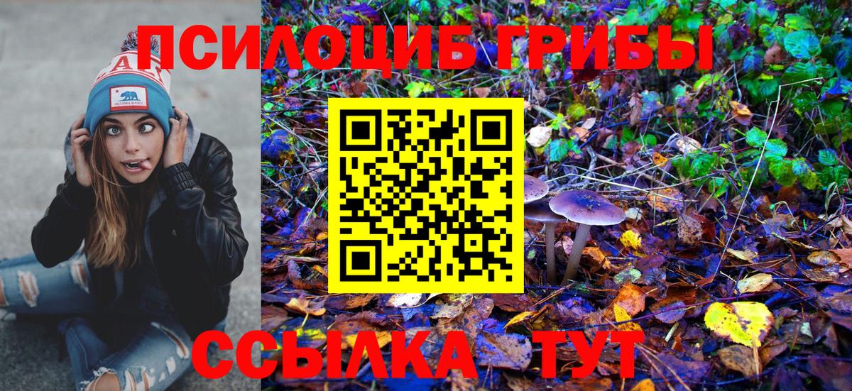 Галлюциногенные грибы GOLDEN TEACHER Кольчугино