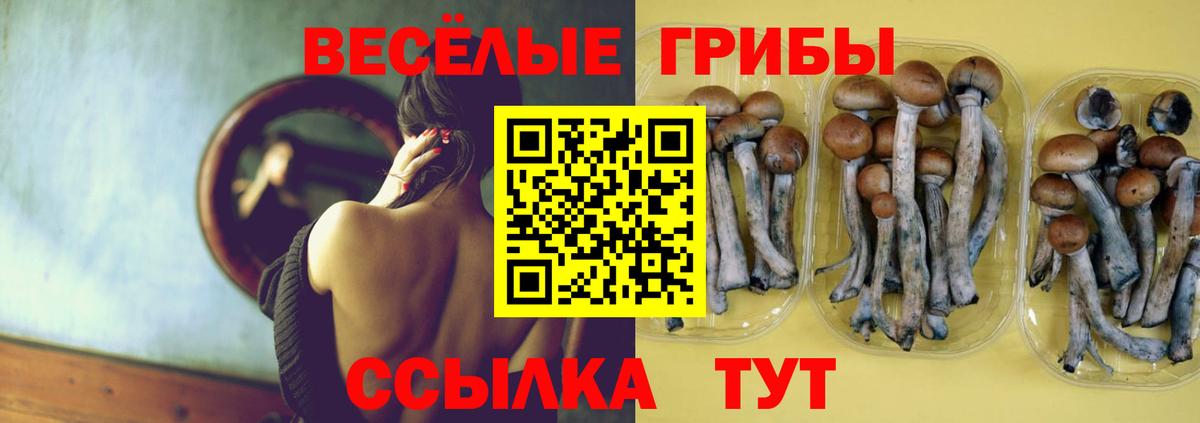 Псилоцибиновые грибы мицелий  Псилоцибиновые грибы MAGIC MUSHROOMS  Вход с VPN  Кольчугино 